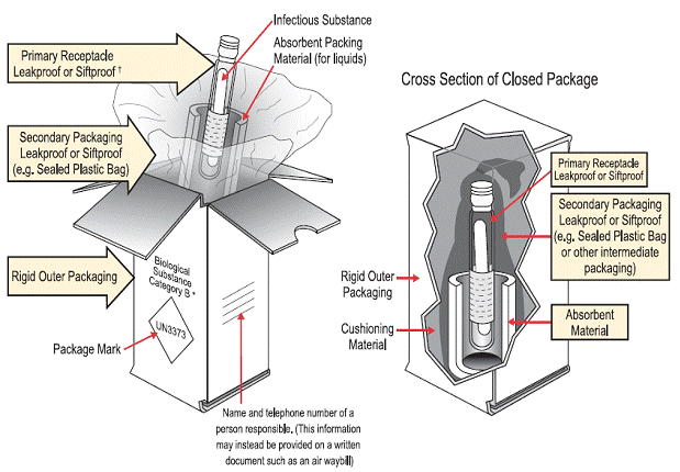 Picture showing the correct packaging
